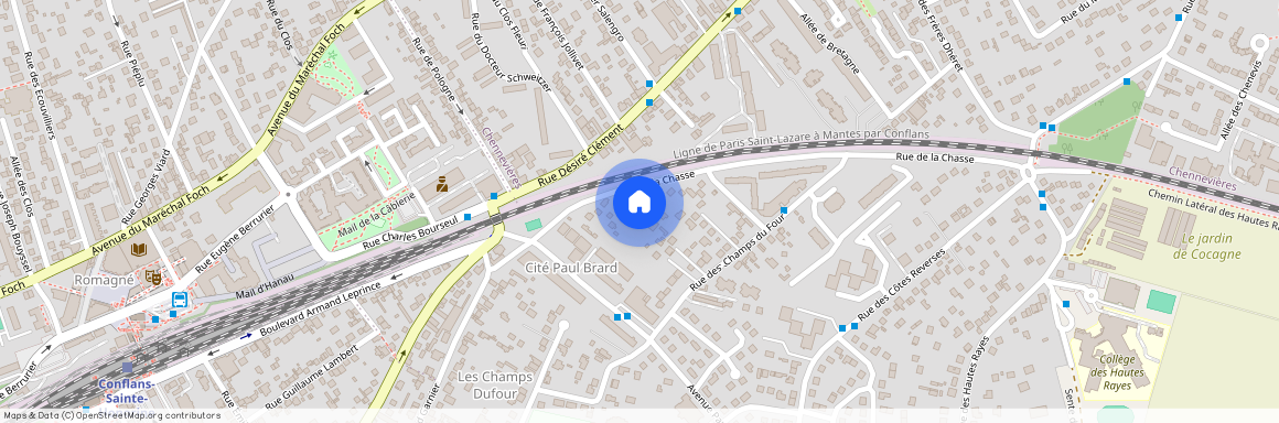 Conflans-Sainte-Honorine