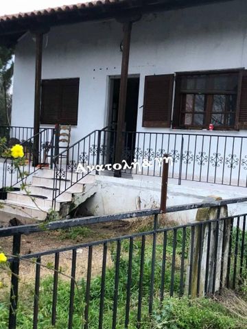 Μονοκατοικία για ενοικίαση Νέα Ραιδεστός (Θέρμη) - Photo 2