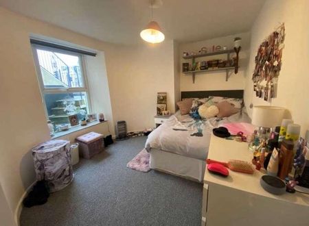 North Road East, Plymouth, PL4 - Photo 5