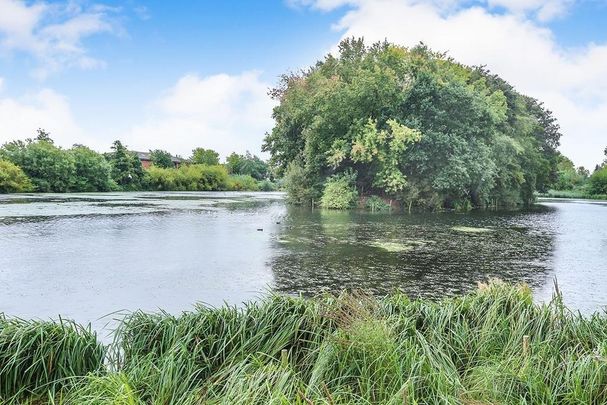 1 bedroom house to rent - Photo 1