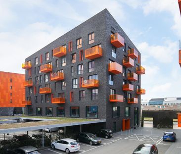 Eelkemastraat, 213, Groningen - Foto 1