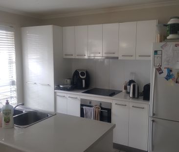 Mountain Creek - Photo 5