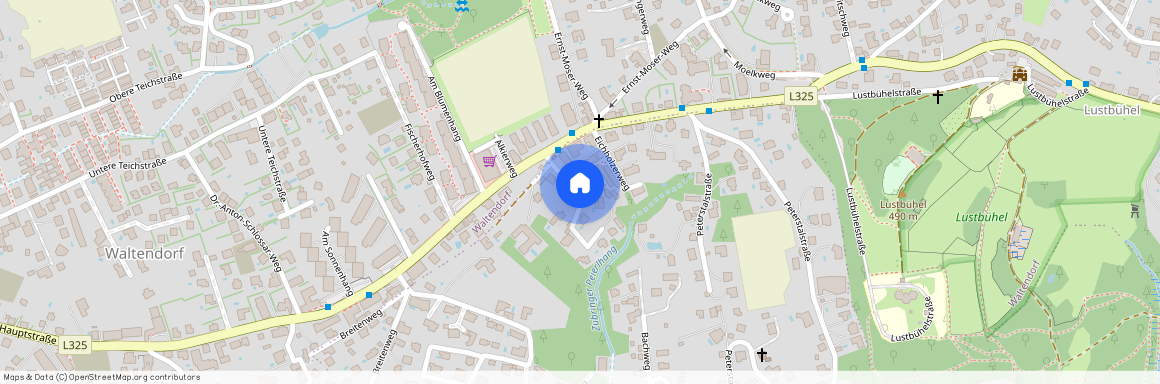 Steiermark, Waltendorfer Hauptstrasse, 8042, Graz