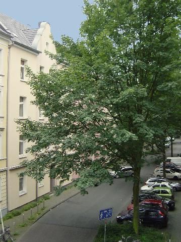 Renovierte 2-Zimmer-Wohnung in der Lange Str. 79 zu vermieten! - Photo 4