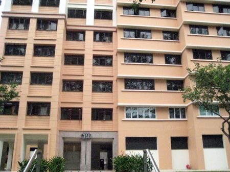Blk 19 Cantonment Towers (Bukit Merah), HDB 4 Rooms - For Rent - Photo 4