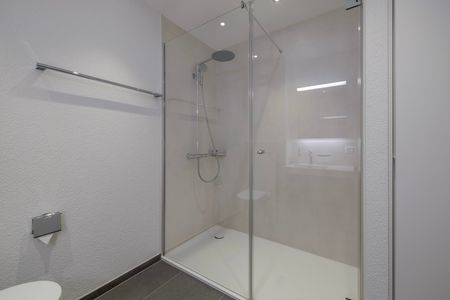 Moderne, neu renovierte Wohnung im Hochparterre - Foto 3