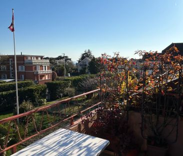 3 Zimmer, EG - Photo 6