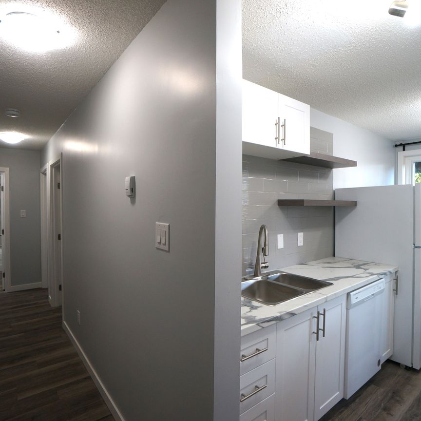 AMAZING newly reno'd Apartment in Lacombe! CATS OK! - Photo 1