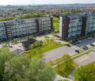 Tove Ditlevsens Vej 36-434 - Photo 1