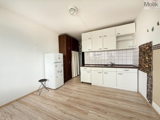 Pronájem bytu 1+kk a garsoniéry 22 m² - Photo 1