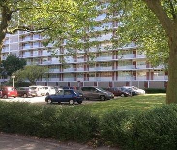 Spuikreek 3079 AC Rotterdam - Photo 4