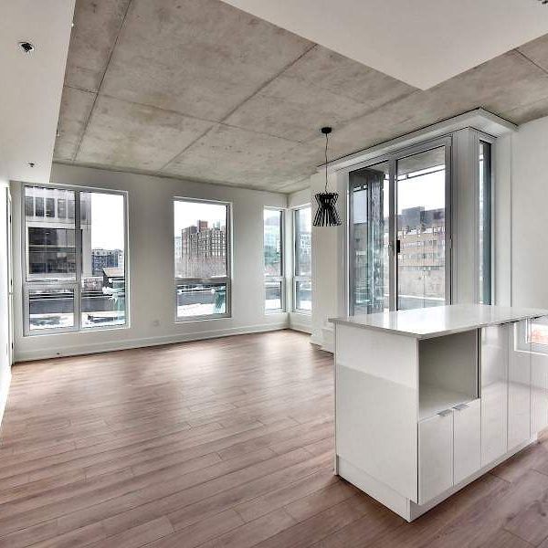 1569 rue Saint-Hubert, Montréal, QC - Photo 1