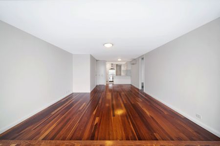 BEAUTIFULLY APPOINTED, SPACIOUS APARTMENT - Photo 3