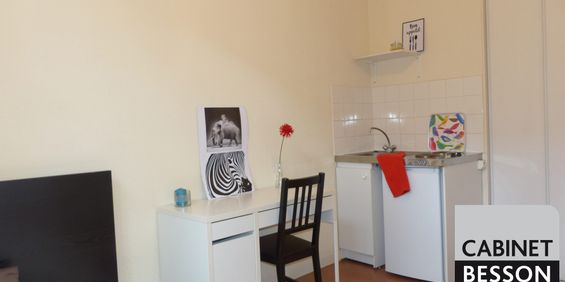 Location Appartement 1 pièce 17m² GRENOBLE 38000 - Photo 3