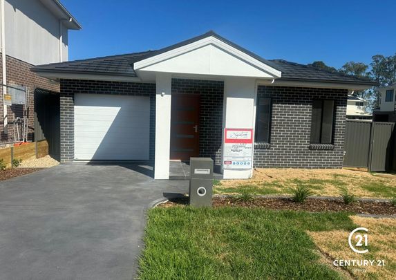 Modern Single Level Living in the Heart of Box Hill for Lease - Photo 1