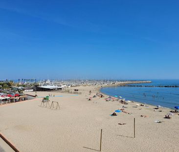 Location Appartement 2 pièces Meublé 58m² PALAVAS LES FLOTS 34250 - Photo 2