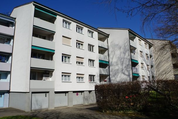 Rent a 4 rooms apartment in Breitenbach - Foto 1