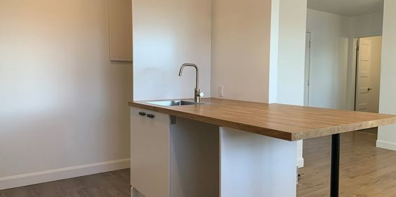 DISPONIBLE DÉS LE 1er JUILLET - Photo 3