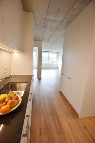 Modern 2.5-room apartment with large shared roof terrace - Foto 5