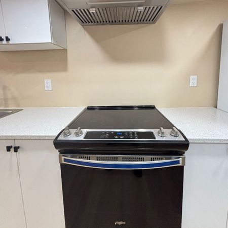 For Lease - 359 Salisbury Lane Unit# Basement, Newmarket, Ontario - Photo 5