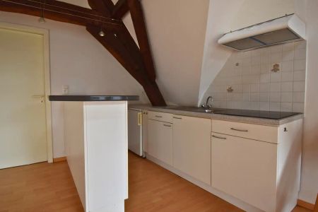 Appartement 1-slaapkamer te huur in centrum Halle - Photo 2