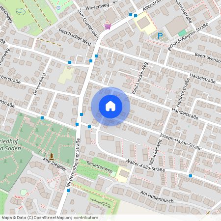 Joseph-Haydn-Straße 1, 65812, Bad Soden Am Taunus