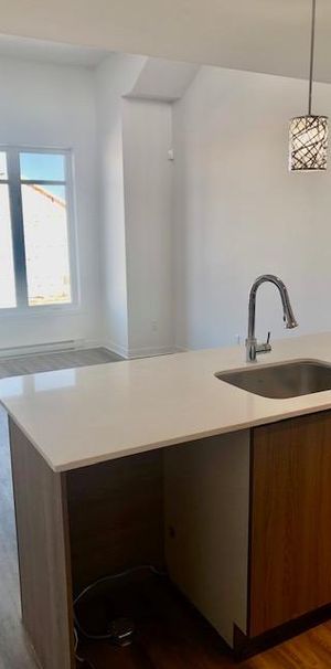 * Lumineux 4,5 À LOUER LAVAL (Ste-Rose) - Photo 1