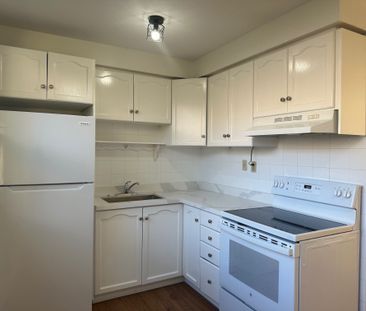 For Lease - 14 Vanevery Street Unit# Unit 3, Toronto, Ontario - Photo 2