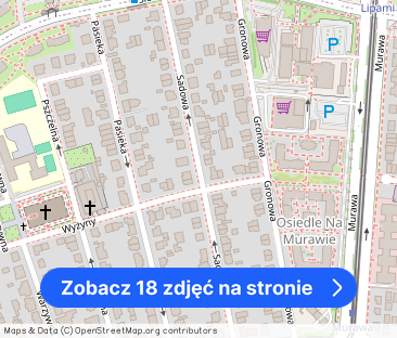 Dom wielolokalowy (210m2) do wynajęcia - Winogrady - Zdjęcie 1