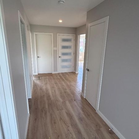 Brossard-5 1/2-refait à neuf-libre - Photo 3