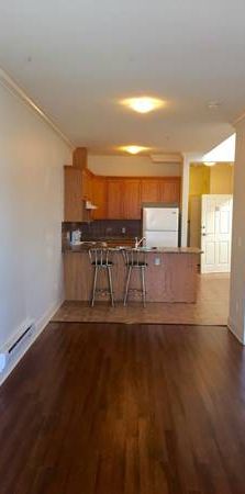 1 Bedroom apartment for rent prime location 49th and Main St - Photo 1