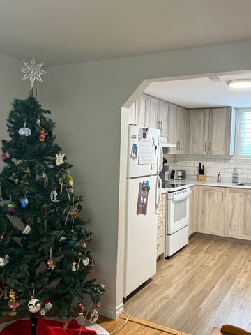 For Lease - 57 Simcoe Road Unit# Basement, Bradford West Gwillimbury, Ontario - Photo 3