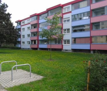 3 Zimmer, Küche, Bad, sep.WC, Loggia, 2.OG rechts - Photo 1