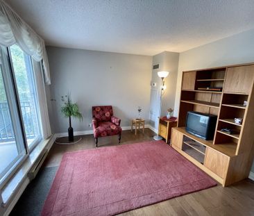 For Lease - 45 Holland Avenue Unit# 315, Tunneys Pasture and Ottawa... - Photo 2