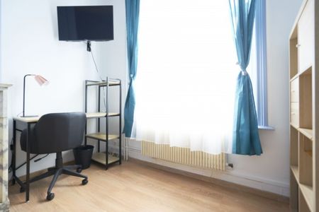 Garibaldi Roommate 5 Bedrooms at Lille - Photo 5