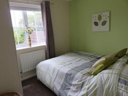 4 bedroom link detached house to rent - Photo 4