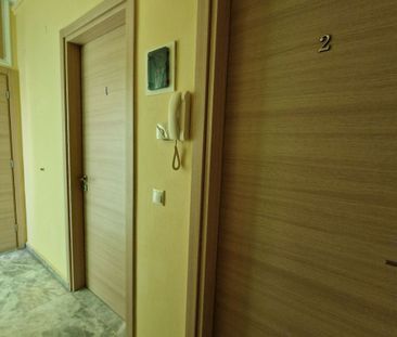 Studio/Γκαρσονιέρα για ενοικίαση Αγία Ειρήνη (Λέσβος - Μυτιλήνη) - Φωτογραφία 5