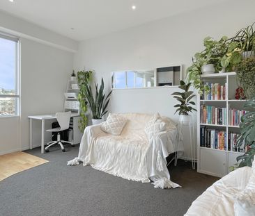 Magnificent Mirage - Photo 5