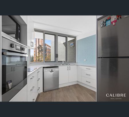 3/40 Sandford Street, St Lucia, Qld 4067 - Photo 2