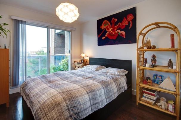 2525 Av. des Érables, Montréal - Photo 1