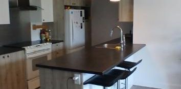 Grand 41/2 style condo - droit au chien, aout ou sept. - Photo 2