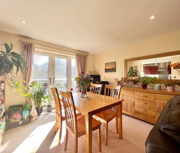 House share to rent - Photo 4