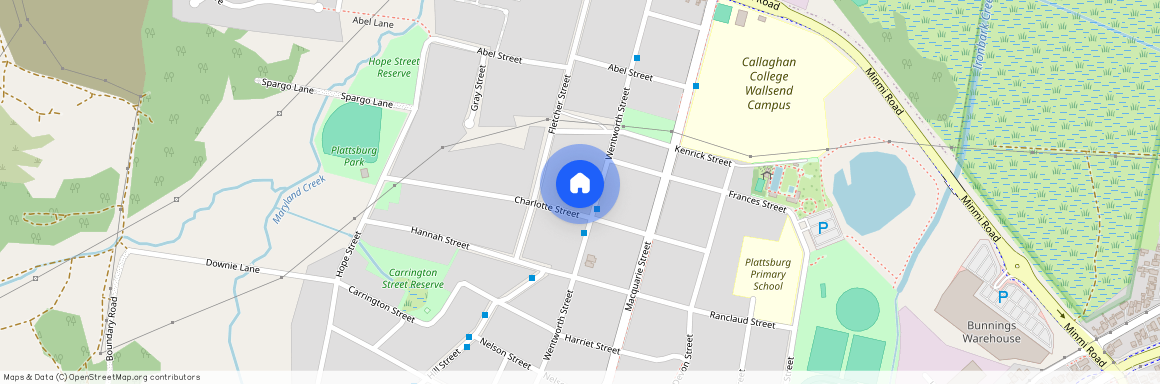 51 Wentworth Street Wallsend NSW