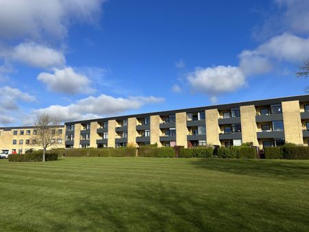 Rosengården 30, st. tv., 9200 Aalborg SV - Photo 5