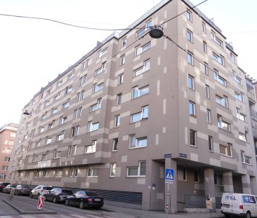 Großzügige Garçonnière - zwischen Matzleinsdorfer Platz und Waldmül... - Photo 4