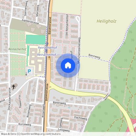 Im Reinacherhof 71-79, 4153 Reinach BL, Lageplan
