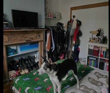 Room in a Shared House, Wells House Road, NW10 - Photo 2