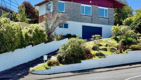 Sunny garden home with ocean views - Photo 5