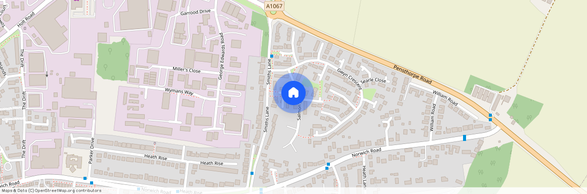 Salmons Way, Fakenham