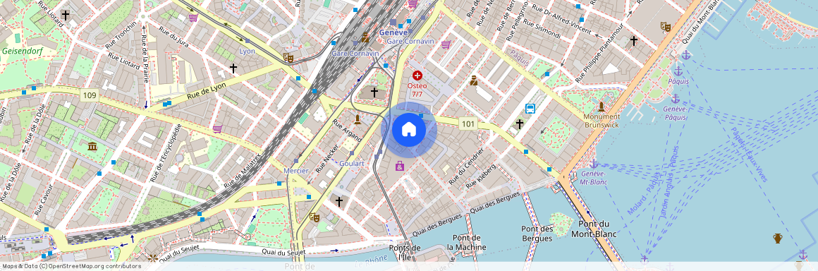 Rue Rousseau 36, 1201 Genève